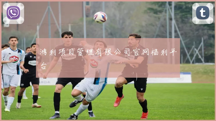鸿利项目管理有限公司官网福利平台