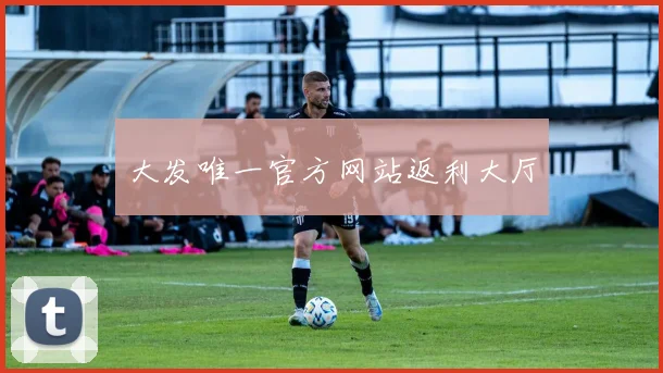 大发唯一官方网站返利大厅