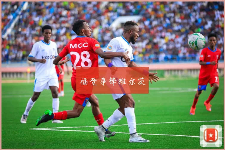 福登争锋维尔茨