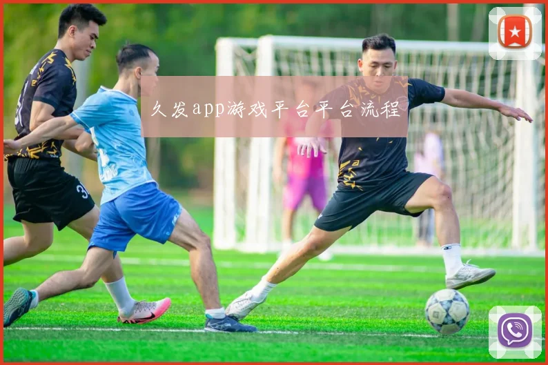 久发app游戏平台平台流程