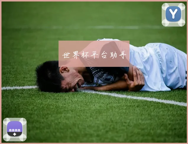 世界杯平台助手
