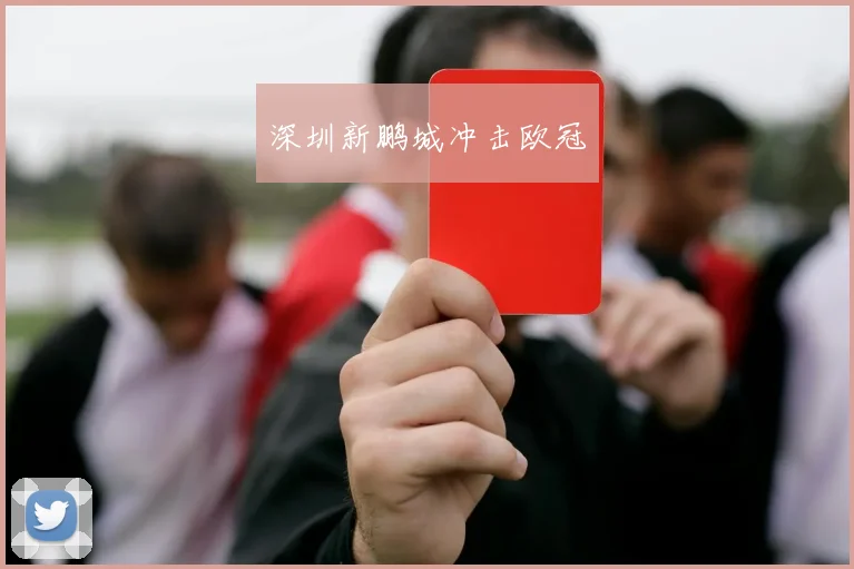 深圳新鹏城冲击欧冠