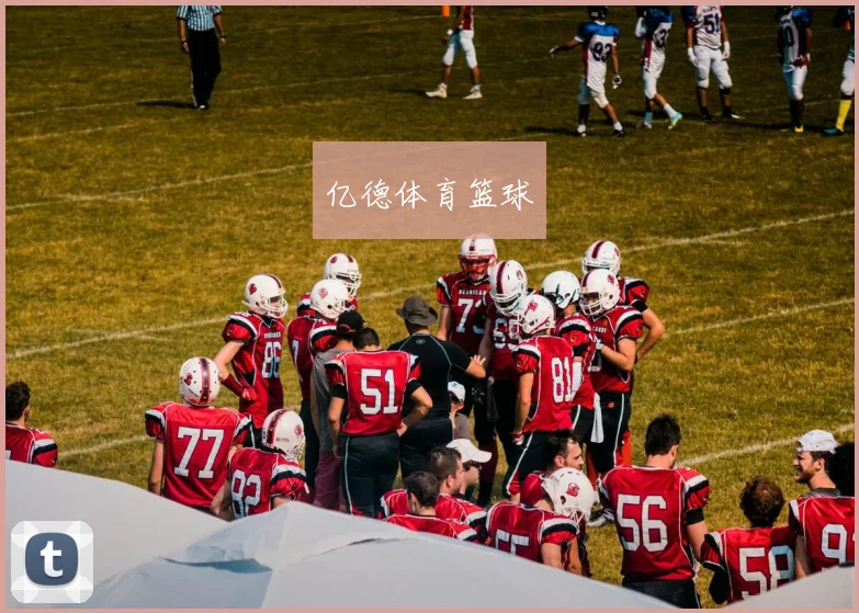 亿德体育篮球