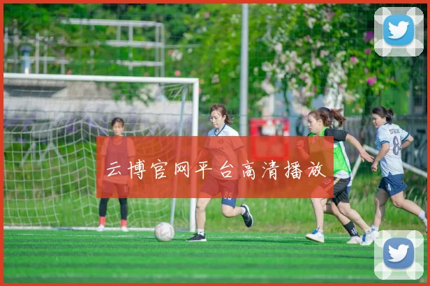 云博官网平台高清播放