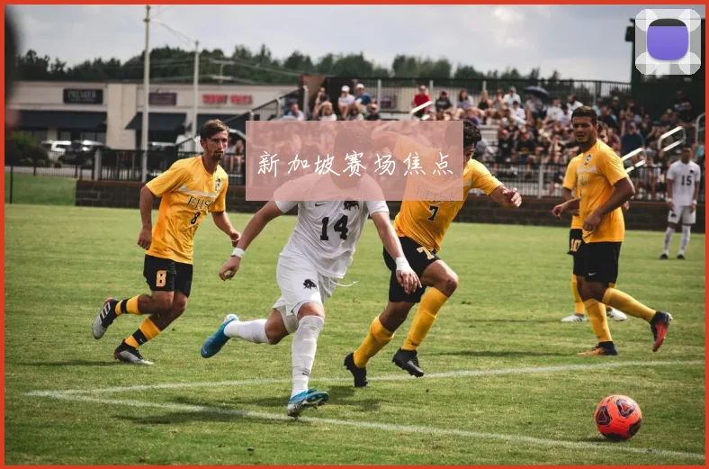 新加坡赛场焦点