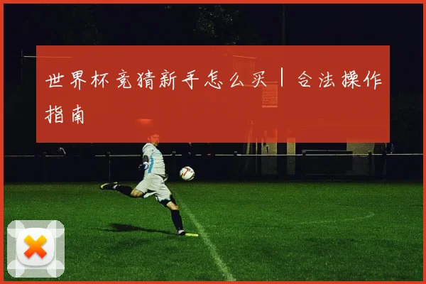 世界杯竞猜新手怎么买｜合法操作指南