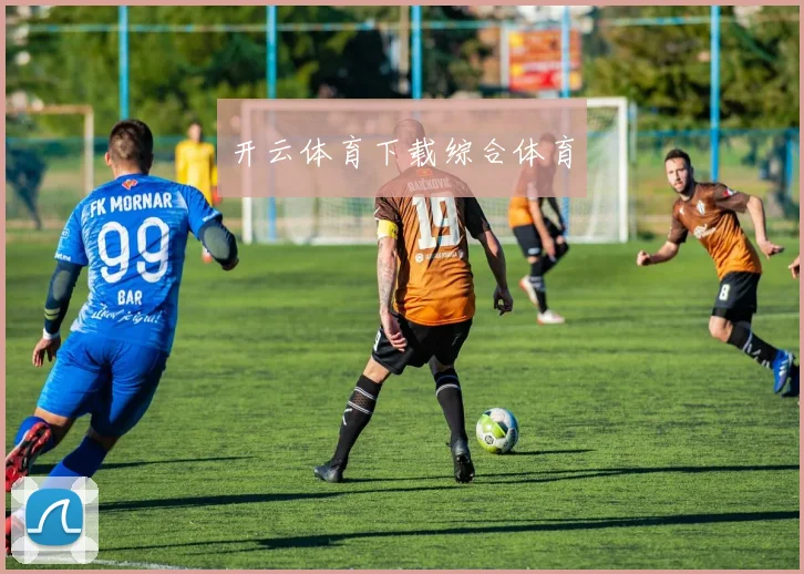 开云体育下载综合体育