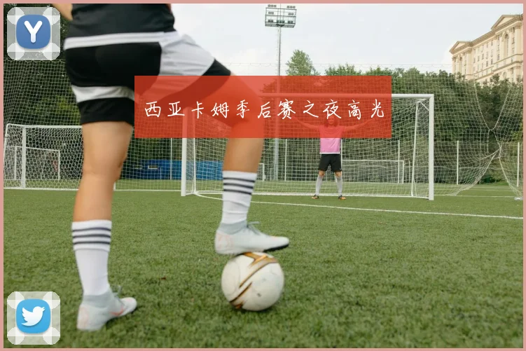 西亚卡姆季后赛之夜高光