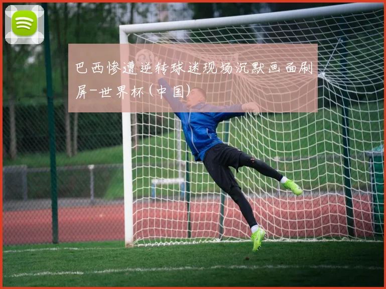 巴西惨遭逆转球迷现场沉默画面刷屏-世界杯(中国)