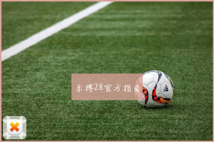 乐搏28官方指南