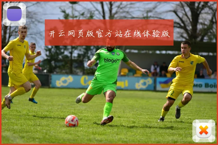开云网页版官方站在线体验版