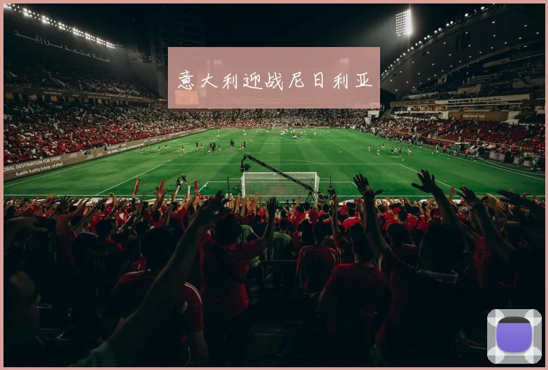 意大利迎战尼日利亚