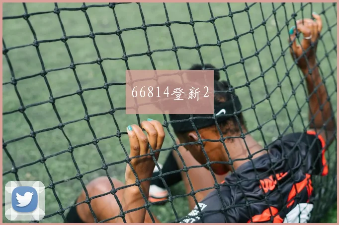 66814登新2