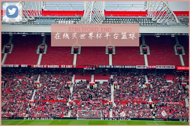 在线买世界杯平台篮球