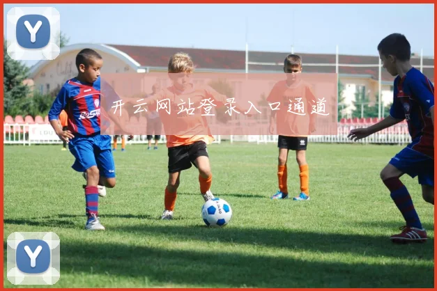 开云网站登录入口通道