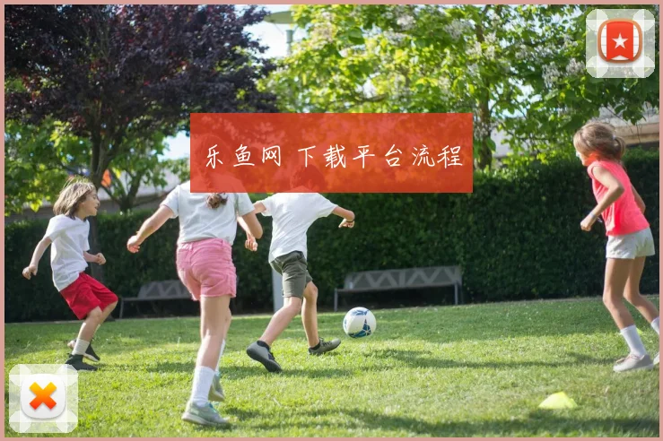 乐鱼网 下载平台流程