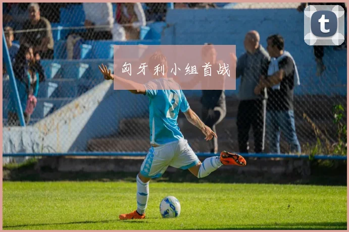 匈牙利小组首战