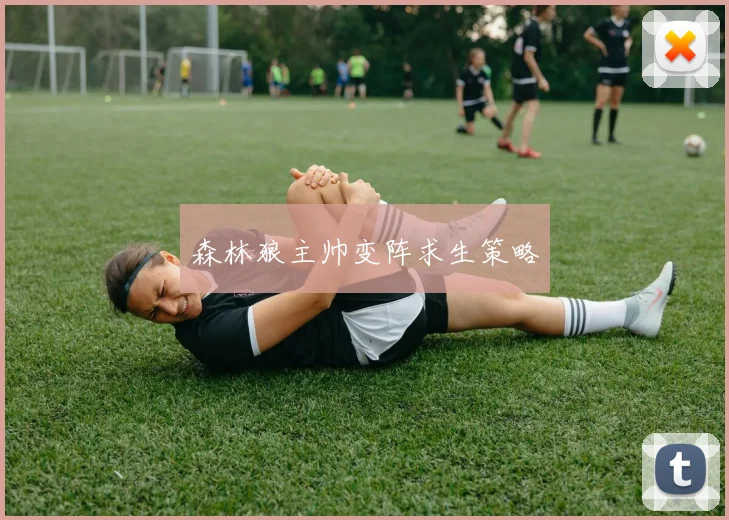 森林狼主帅变阵求生策略