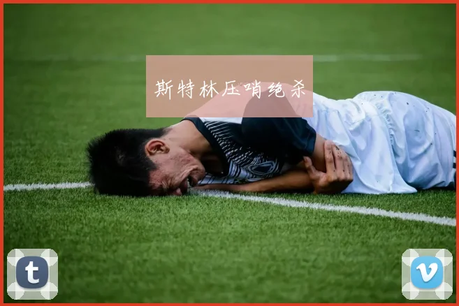 斯特林压哨绝杀