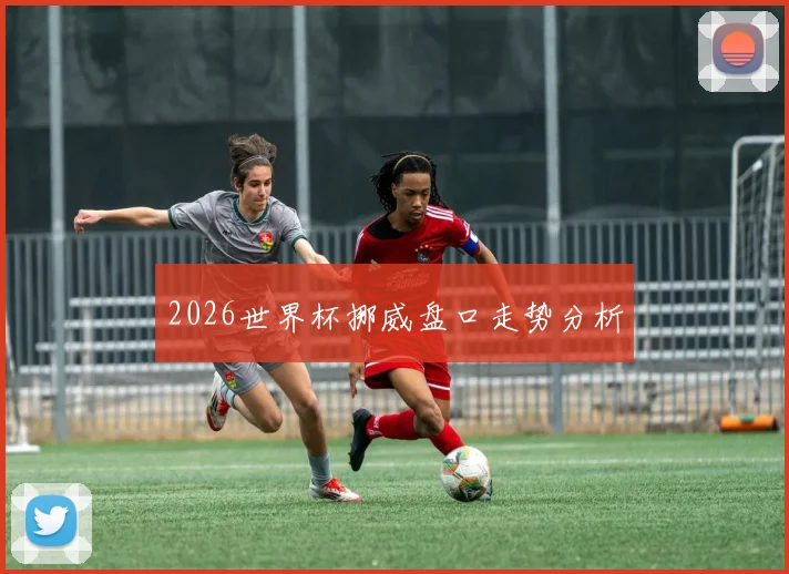 2026世界杯挪威盘口走势分析
