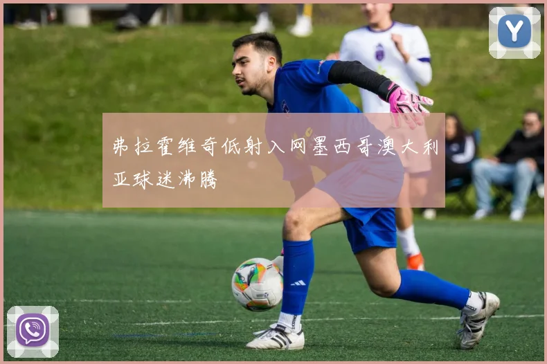 弗拉霍维奇低射入网墨西哥澳大利亚球迷沸腾