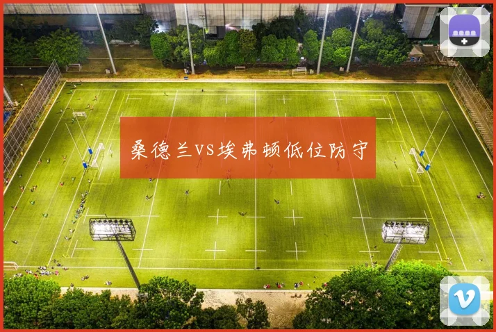 桑德兰vs埃弗顿低位防守