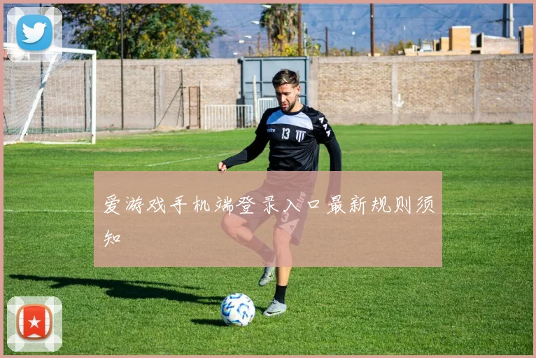 爱游戏手机端登录入口最新规则须知