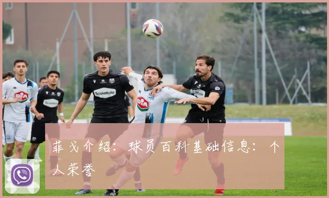 菲戈介绍:球员百科基础信息:个人荣誉